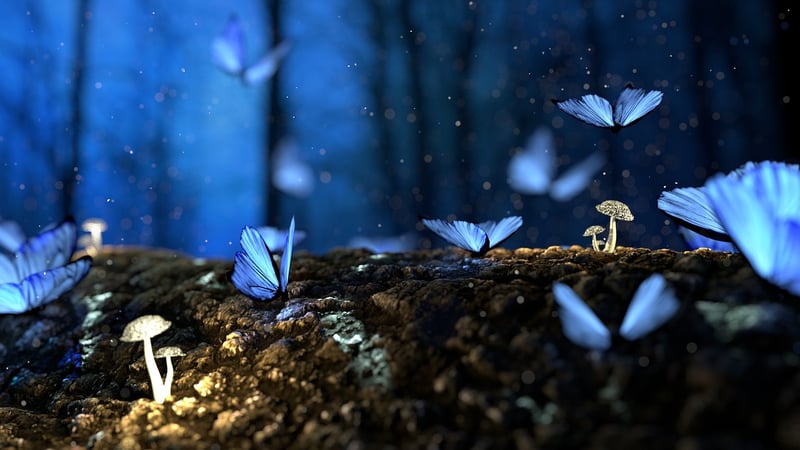 Enchanted Animals